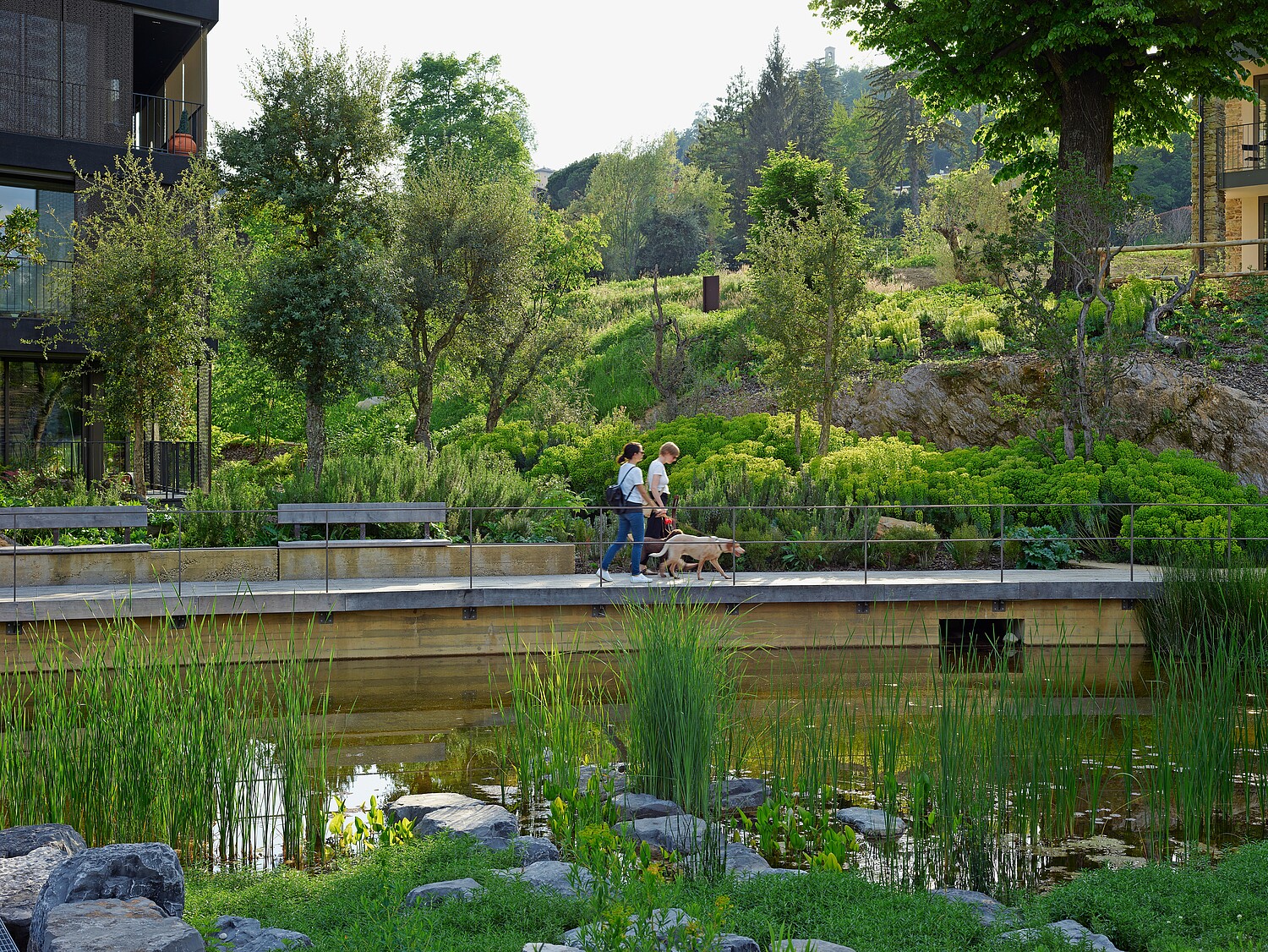 L’idea della «città spugna» è che gli spazi urbani dovrebbero essere in grado di raccogliere e immagazzinare quanta più acqua possibile.