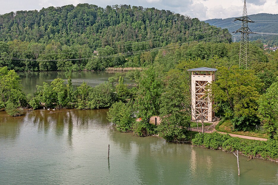 La torre panoramica alta 14 metri alla foce della Wehra offre una vista sulla riserva ornitologica e sul Reno.